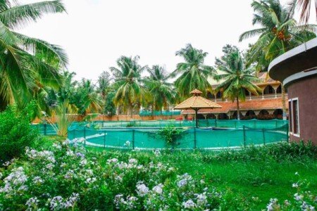 Bangalore City College Of Nursing Bangalore Photos