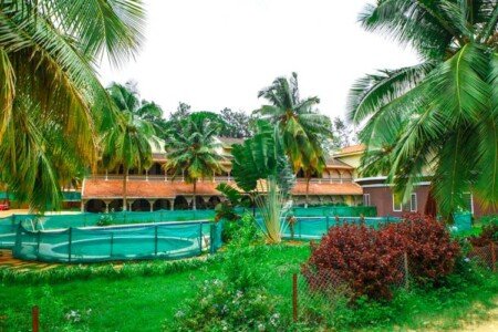 Bangalore City College Of Nursing Bangalore Photos